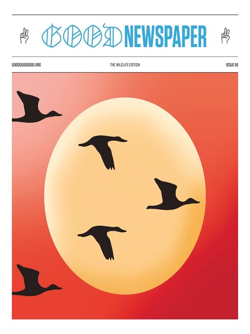 Cover image for The Goodnewspaper
